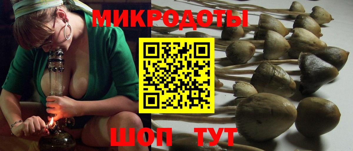 Псилоцибиновые грибы мицелий Назарово