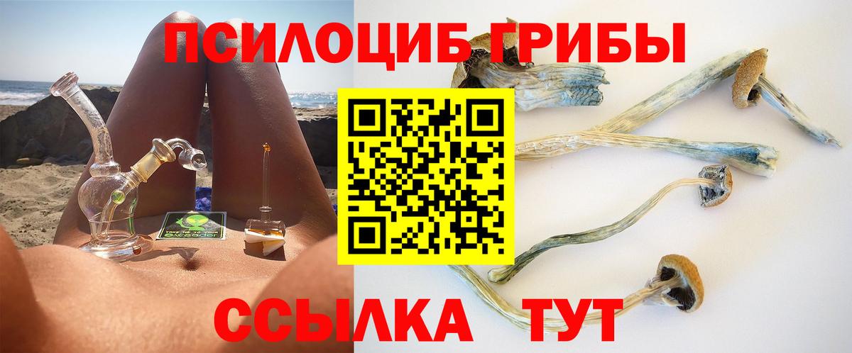 Псилоцибиновые грибы мицелий  Псилоцибиновые грибы MAGIC MUSHROOMS  Вход с VPN  Назарово 
